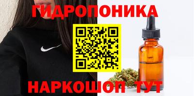сатива Новокубанск