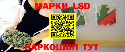 сатива Новокубанск