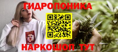 прущие крисы Новозыбков