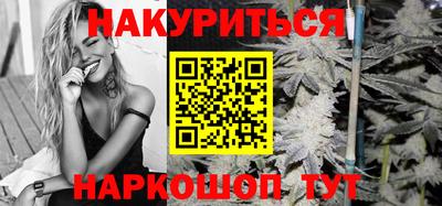 Альфа ПВП Новодвинск